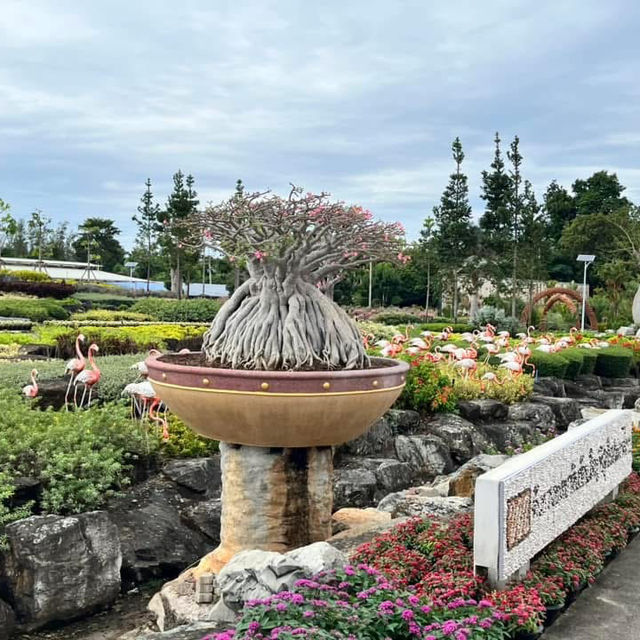 🌿 Chonburi Nong Nooch Tropical Botanical Garden — Guide 🌿 Chonburi Nong Nooch Tropical Botanical Garden — Guide