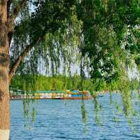 🌿 Xuanwu Lake – Nanjing’s City Oasis 🌿