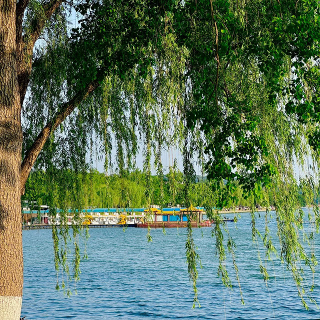 🌿 Xuanwu Lake – Nanjing’s City Oasis 🌿 🌿 Xuanwu Lake – Nanjing’s City Oasis 🌿