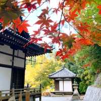 【龍神信仰の証】室生龍穴神社 拝殿と手水舎に刻まれた歴史