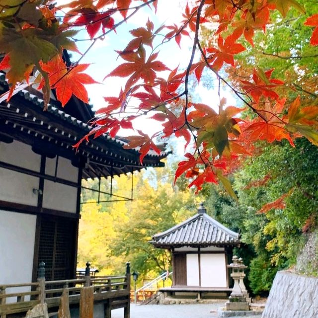 【龍神信仰の証】室生龍穴神社 拝殿と手水舎に刻まれた歴史