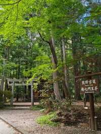 熊野古道中邊路徒步之旅