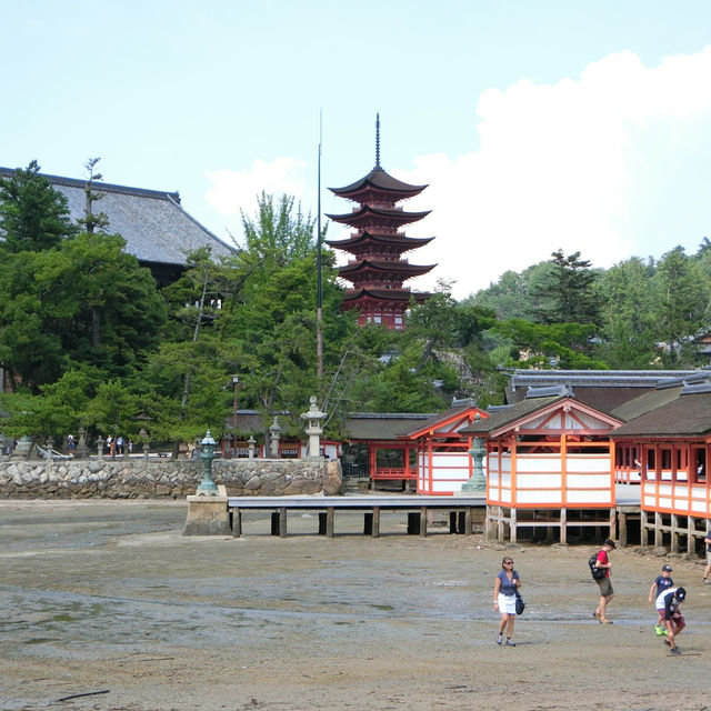 海中島居+海上神社+神之使者一在嚴島神社散策