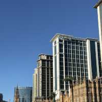 Planning a wild day in Macau Taipa? 