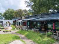 คาเฟ่เชียงราย สูดอากาศบริสุทธิ์ จิบชา นั่งเล่น