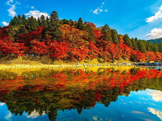 🍁 Daigoji Temple – Kyoto, Japan ⛩️🌿