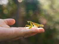 南丫島：榕樹灣到索罟灣