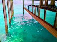 The Ritz-Carlton Maldives, Fari Islands — Refined Luxury in Every Detail