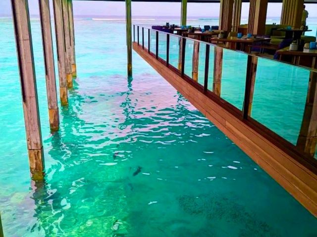 The Ritz-Carlton Maldives, Fari Islands — Refined Luxury in Every Detail The Ritz-Carlton Maldives, Fari Islands — Refined Luxury in Every Detail