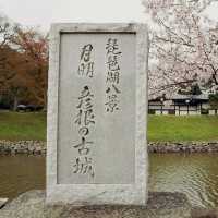 The Gentleman's Fortress: My Solo Visit to Hikone Castle, Shiga