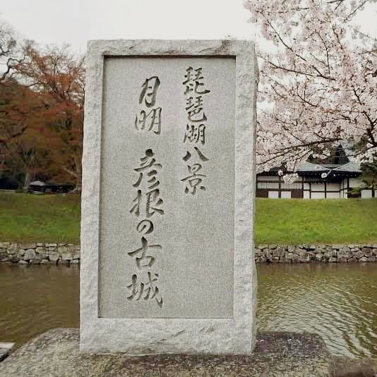 The Gentleman's Fortress: My Solo Visit to Hikone Castle, Shiga