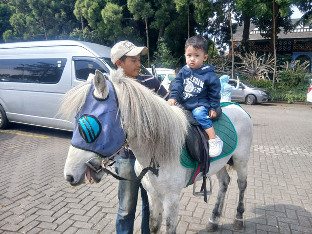 Farm House Lembang, Seruw