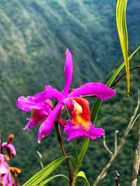 🏔️ Machu Picchu Valley – The Mystical Gateway to the Lost City of the Incas