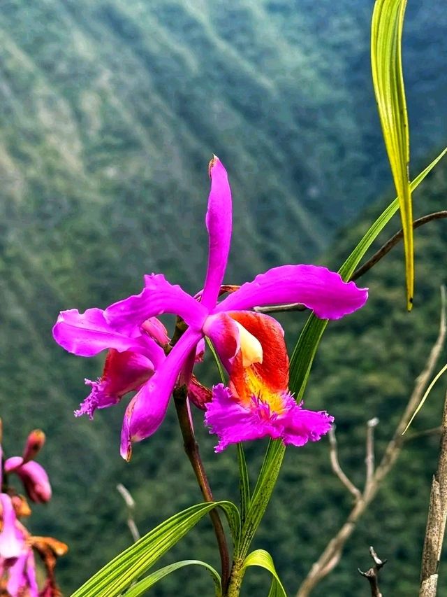 🏔️ Machu Picchu Valley – The Mystical Gateway to the Lost City of the Incas