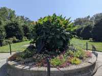 Brooklyn Botanic Garden