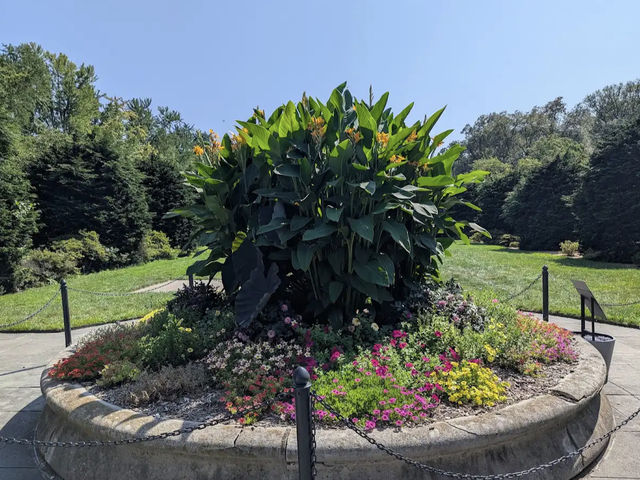 Brooklyn Botanic Garden