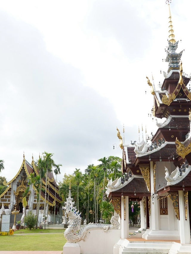 วัดป่าดาราภิรมย์ อำเภอแม่ริม เชียงใหม่ วัดป่าดาราภิรมย์ อำเภอแม่ริม เชียงใหม่