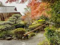 The Solo Day Out: Higashiyama Zoo & Botanical Gardens