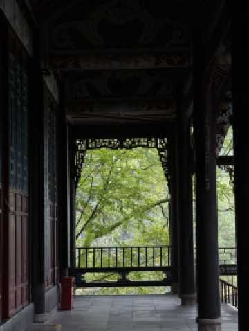 Nature Meets History🌳