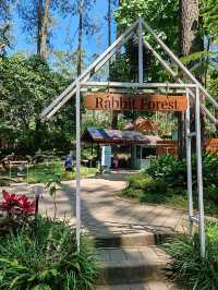 Orchid Forest Cikole: A Nature Escape