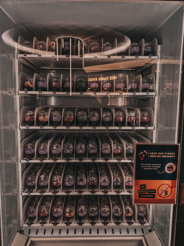 A Heartwarming Encounter with Nature – Feed the Fish @ 1 Utama Wildlife Conservation Efforts A Heartwarming Encounter with Nature – Feed the Fish @ 1 Utama Wildlife Conservation Efforts