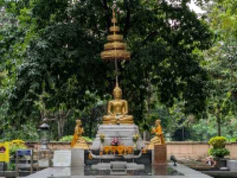 An Oasis of Calm in Bangkok's Heart