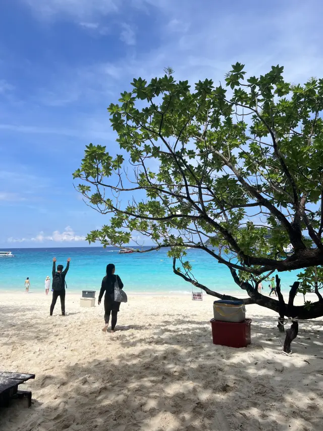 遊玩布吉3日2夜