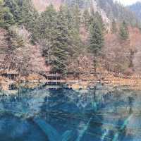 Chengdu > Huanglong > Jiuzhaigou > Chengdu 3 วัน 2