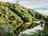 Sanctuary of Song & Forest Memory