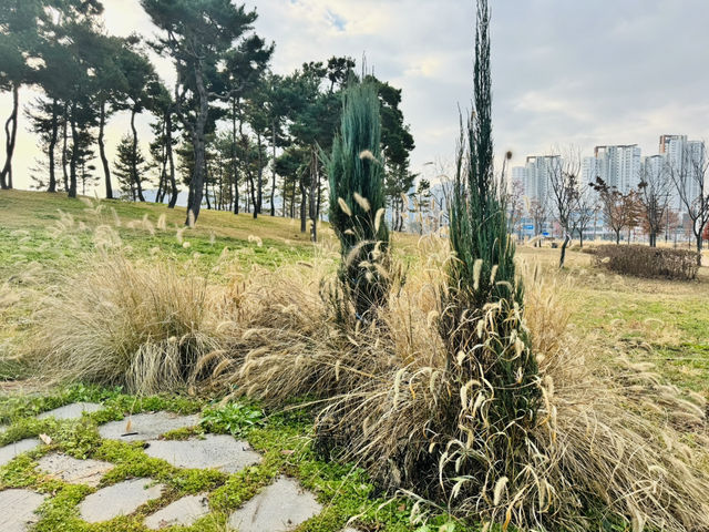Evergreen Garden: Pyeongtaek’s Secret Sanctuary of Stillness🌿