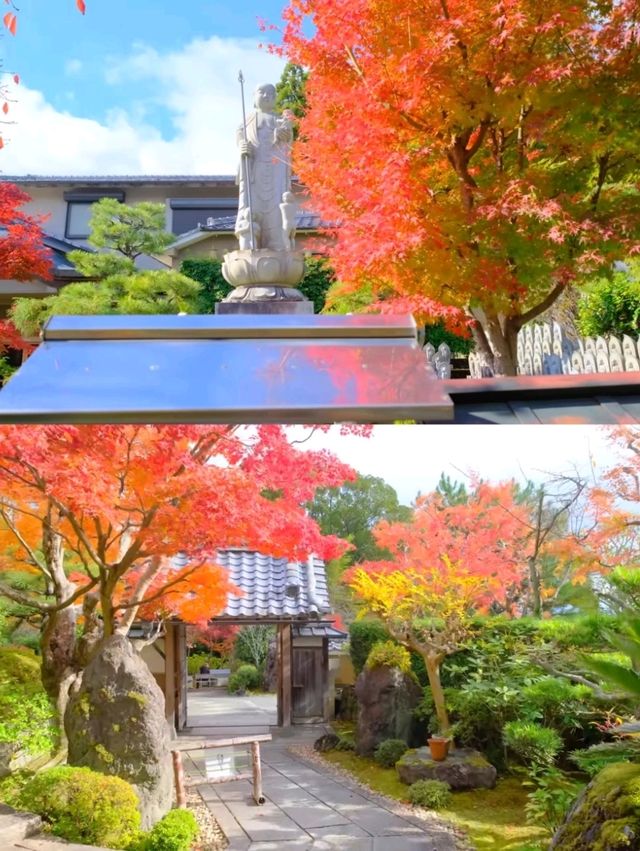 京都小眾賞楓秘境|正法寺禪意紅葉之旅🍁 京都小眾賞楓秘境|正法寺禪意紅葉之旅🍁