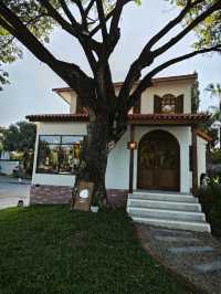 Rich Homemade Cake Ruamchok