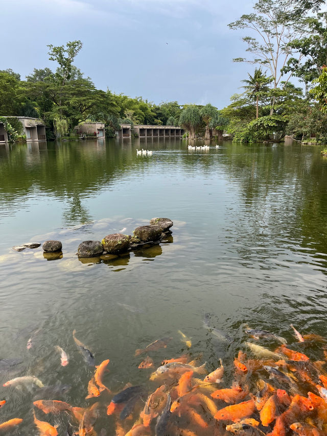 The westlake hotel and resort The westlake hotel and resort