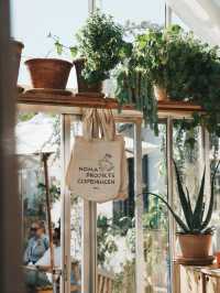 丹麥旅行 -  Noma 回來了 玻璃屋中的北歐味覺實驗室