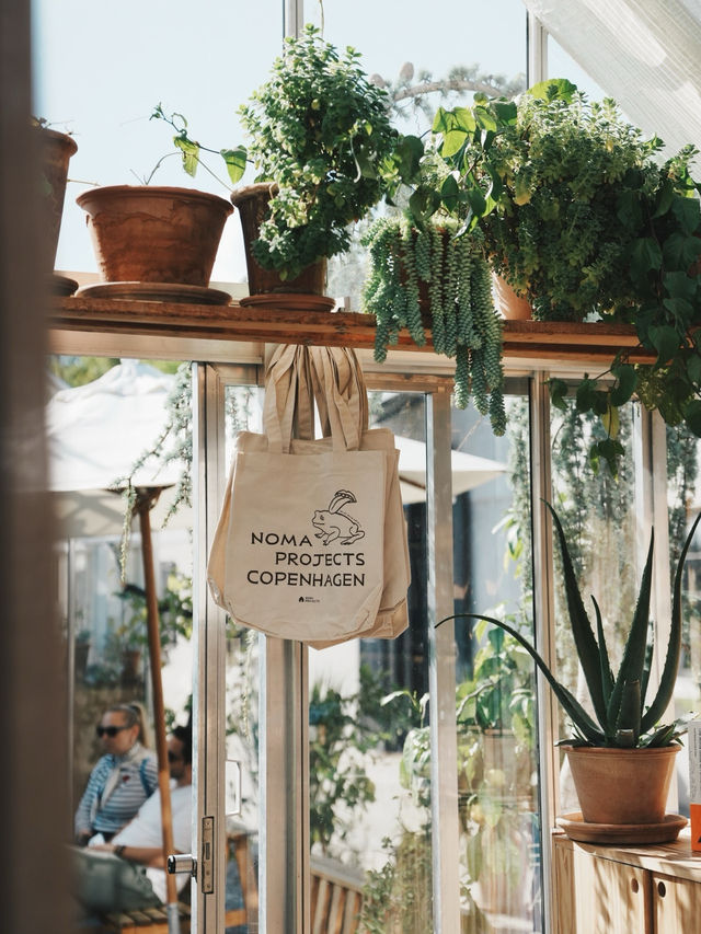 丹麥旅行 -  Noma 回來了 玻璃屋中的北歐味覺實驗室