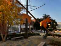 아직은 가을여행 중 😁🍁