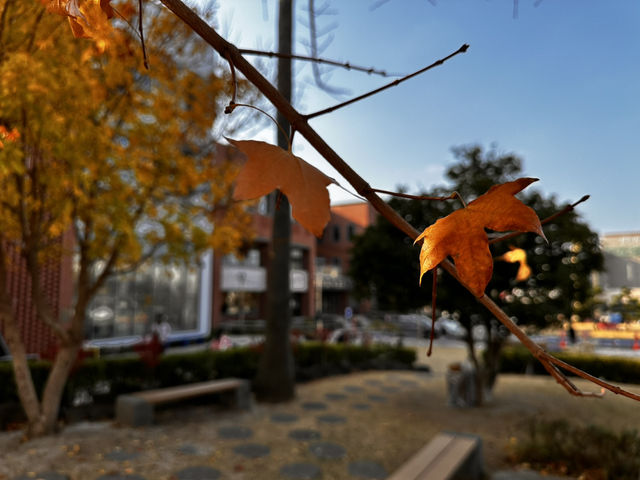 아직은 가을여행 중 😁🍁