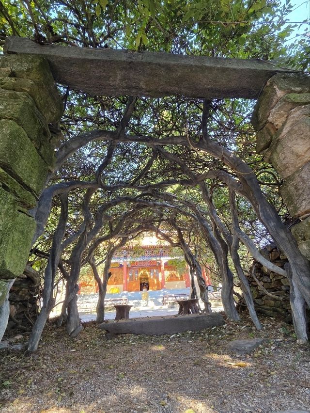 Lushan's Tianchisi Historic Trail