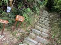 大東山的攀登:一步步都是靈魂的吶喊 🚶♂️🏔️