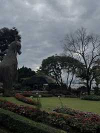 ดอยตุง จ.เชียงราย