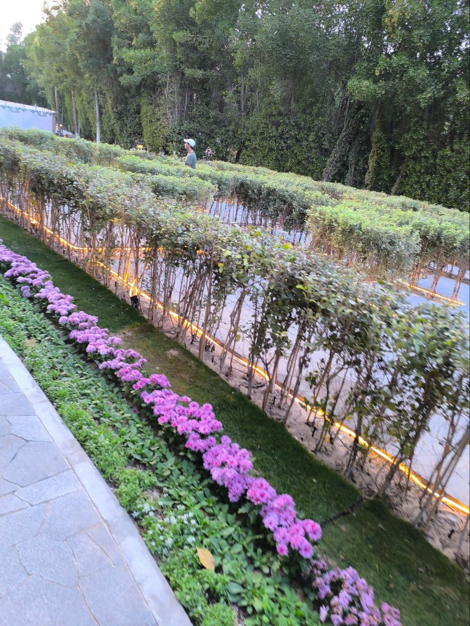 Step into Serenity at The Hills Winter Garden 🌿✨  
If you’re craving a peaceful escape in the heart of Dhahran, The Hills' Winter Garden is where tranquil vibes meet gourmet flavors. The lush garden atmosphere instantly makes you forget the city buzz—perfect for unwinding or catching up with friends over a savory bite.  

🧭 Recommended Route:  
Arrive early to stroll the garden before it gets busy, then settle into the outdoor seating for a truly immersive experience. Their food menu is a highlight, so don’t miss out on the local and international selections—they’re as tasty as they are beautifully presented.  

🥗 Must-Do Experiences:  
Absolutely savor a meal al fresco; the Winter Garden setting is ideal for brunch or a sunset dinner. There’s often seasonal décor or live plants that make each visit feel unique and extra photogenic.  

📸 Insta-Worthy Photo Spots:  
Snap candid shots under the canopy of greenery—especially in soft morning light or golden hour. The centerpiece floral arch and cozy patio corners are your best bet for beautiful background vibes.  

🔎 Visiting Tips:  
· Peak hours are late afternoon, so plan for earlier or later meals if you want a quieter space.  
· Dress comfortably, but note that modest clothing is appreciated.  
· Free parking is available, but fills up on weekends—try weekday visits if you can.  

⚠️ Precautions:  
The outdoor garden is lovely but can get warm midday; a hat or sunglasses help. Check weather in case of unexpected rainfall, though shaded areas are usually available.  

#Dhahran #TheHills #WinterGarden #SaudiArabia #TravelTips
