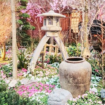serene Japanese garden landscape | Trip.com Singapore