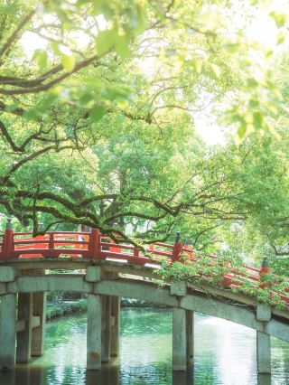 福岡の必須観光スポット【太宰府】。