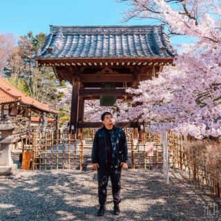日本最古老兼最大！擁有2,000年歷史嘅櫻花樹。
