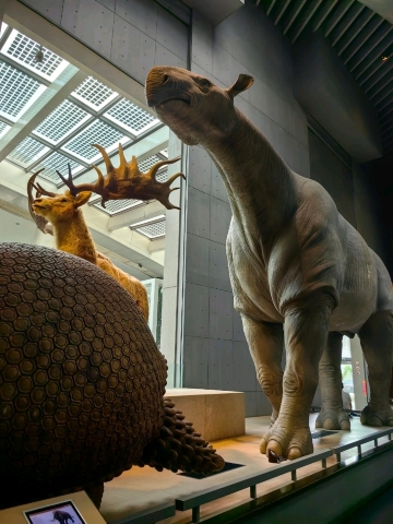 5日目 — 上海 上海自然博物館 (Shanghai Natural History Museum