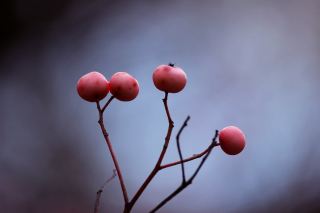 人生には疲れ果て、迷いを感じる瞬間が必ずあるものです。そんな時、遠く険しい道のりを行く旅は、最も優しい自分への癒やしとなります。私たちは山や海へ赴き、世界のあらゆる優しさに触れ、そしてその長い道のりに身を置きます。