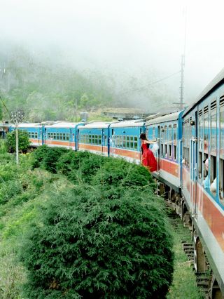 The best tea-drinking train experience