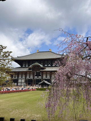 登上下眺奈良全景嘅絕景地點：若草山！