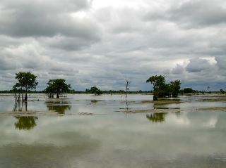 A Wildlife Adventure in Brazil