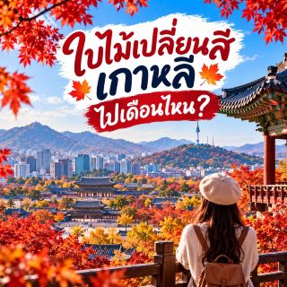 🍁 韓國秋葉觀賞－哪個月份最佳？